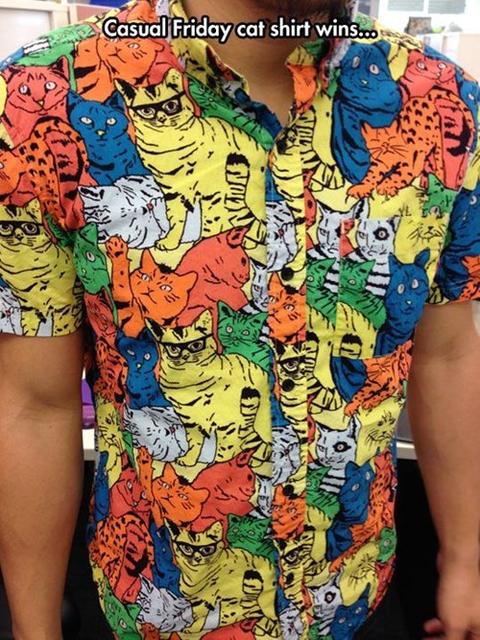 insane cat shirt